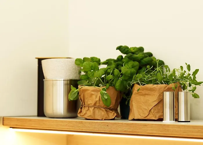 Chase Apartments-Boutiquehotel Style I